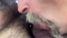 Truck Stop Cock Sucking with a Daddy Bear